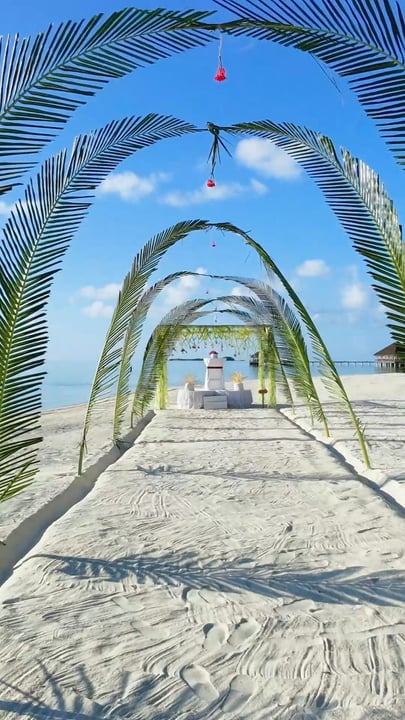 Dove inizia il per sempre, sotto un tramonto maldiviano. 🌅💍

Con l'oceano come sfondo, una luce dorata e morbida nel cielo e la persona che ami accanto a te, ogni momento diventa un ricordo da custodire per sempre.