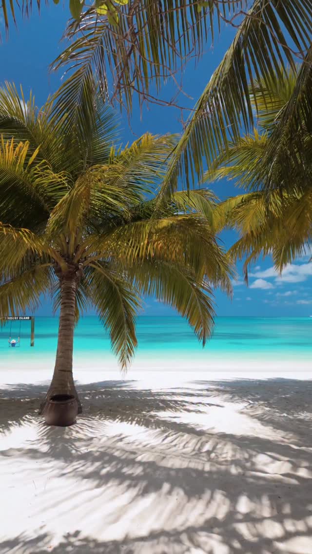Let us guess! 🤔 What you dream of is…
a paradise escape to @meerumaldives ! ☀️🏝

#meeru #meerumaldives #meeruislandresort #maldives