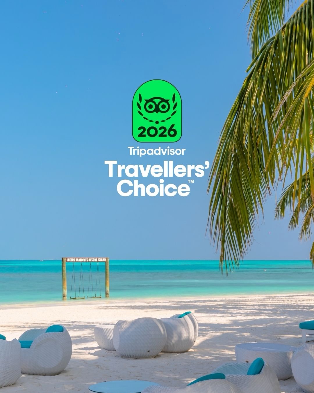 Travellers Choice Award von Trip Advisor
