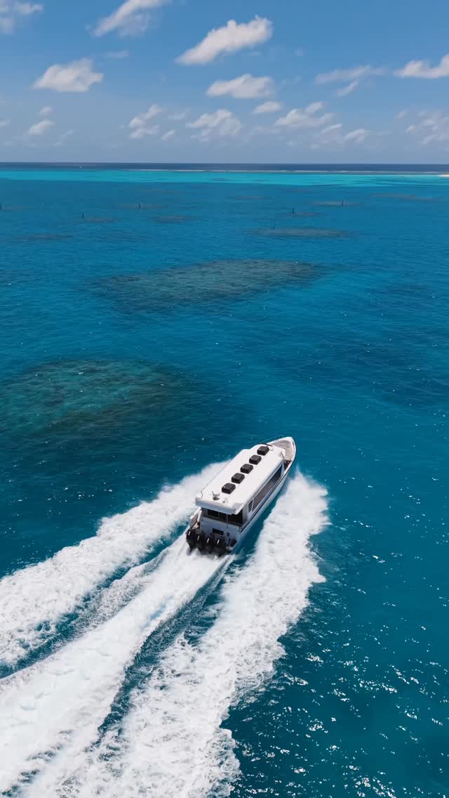 Jede Reise zu den Malediven beginnt mit einem Ausblick, den Sie nie vergessen werden. ✨ Von kristallklaren Lagunen bis zu endlosem weißen Sand — hier beginnen unvergessliche Erinnerungen.

Meeru Maldives Resort Island

#me