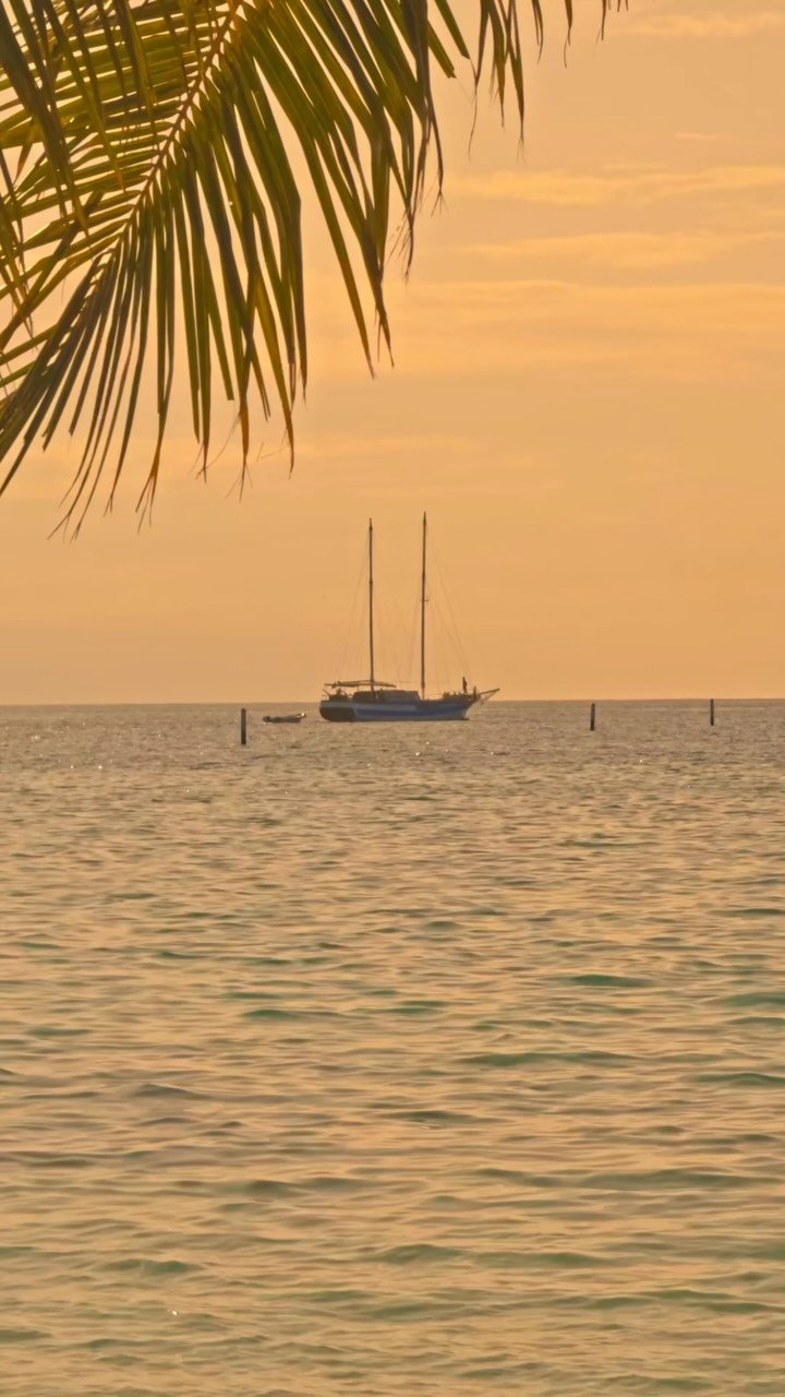 Bring mich zurück an den Ort, an dem wir uns beide verliebt haben. 🤍

Wo die Tage langsamer vergingen, die Sonnenuntergänge länger dauerten, und irgendwo zwischen dem Ozean und dem endlosen Blau ein Ort, der Teil Ihrer Geschichte wurde