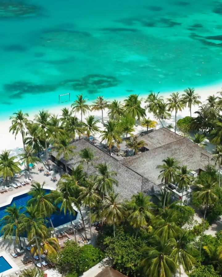 Lunch by the lagoon or dinner under the island sky. 🌊✨

At The Reef, Meeru Maldives’ contemporary beach grill, fresh seafood and flame-grilled favourites are served in an effortlessly relaxed beachfr