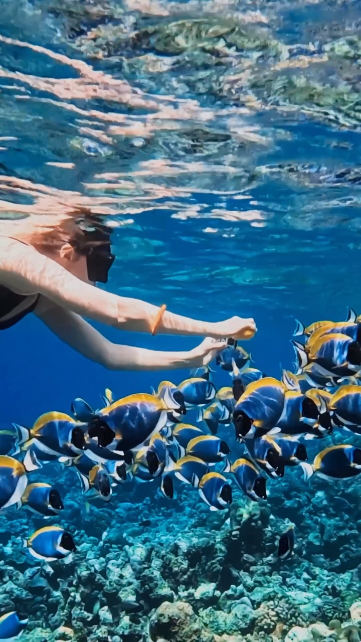Entdecken Sie mehr von den Malediven, ein Riff nach dem anderen. 🤿🐠🌊

Der Meeru Adventure Snorkeling Trip führt Sie über die Insel hinaus, um einige der wunderschönen Schnorchel-Spots rund um das North Malé Atoll zu entdecken. Di