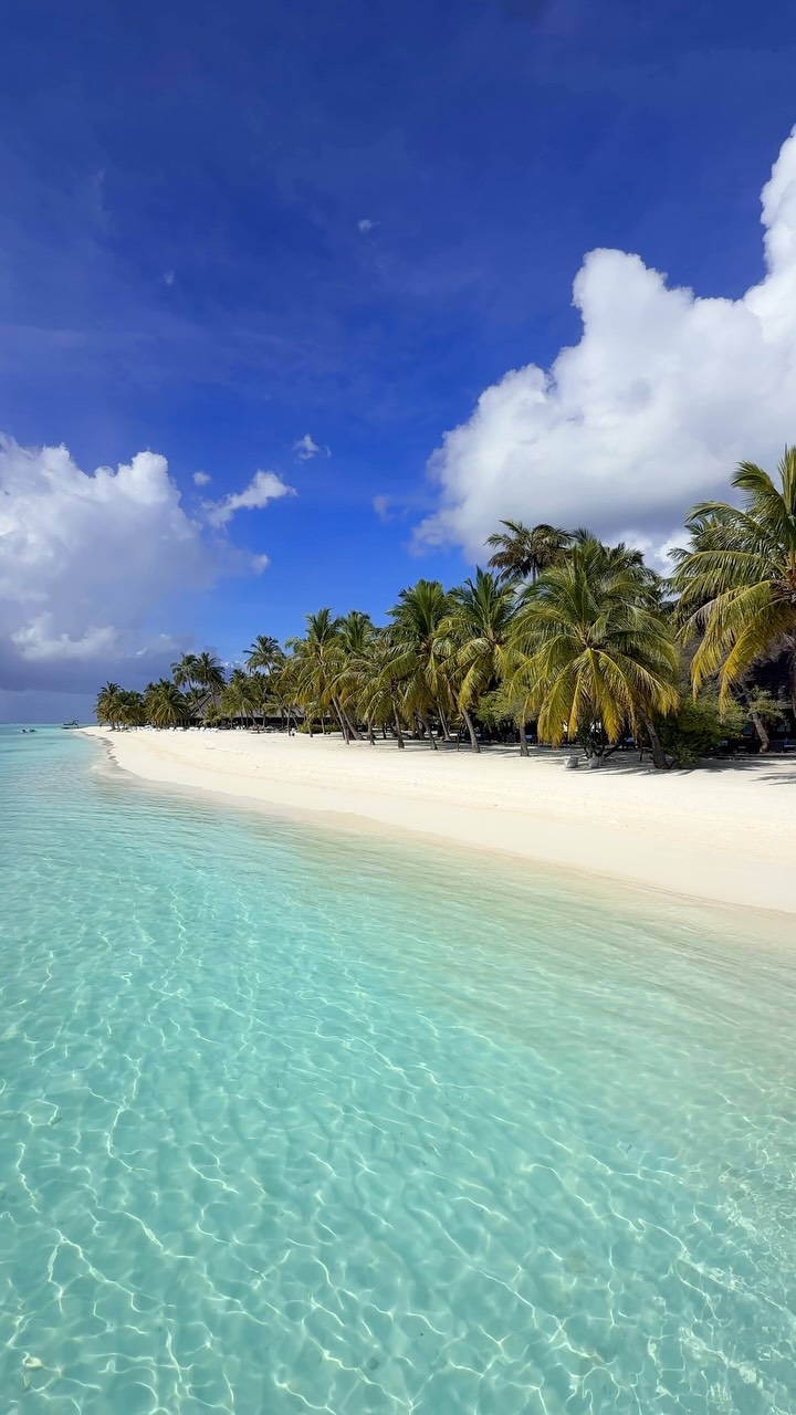 Fermati qui un momento 🏝️