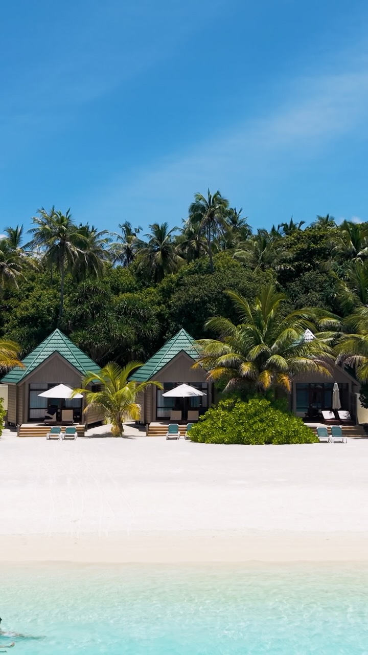 Sortez de votre Water Front Villa et laissez les Maldives commencer à vos pieds.

Eau Turquoise, terrasse privée, et rien entre vous et le lagon.

C'est Meeru… tout simplement MALDIVES. 🌊

#meerumaldi