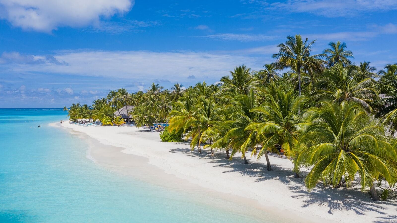 Ein geschwungener weißer Sandstrand, gesäumt von Palmen, trifft unter blauem Himmel auf türkisfarbenes Wasser.