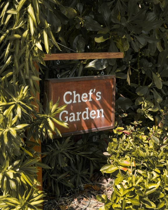 Photo by Meliá Whale Lagoon Maldives on July 21, 2026. May be an image of herb and text that says "Chef's KGarden Garden".