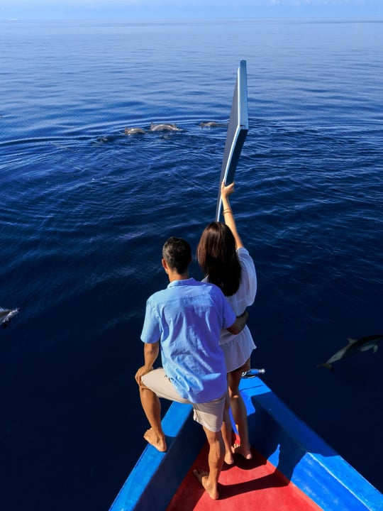 Photo by Mercure Maldives Kooddoo in Mercure Maldives Kooddoo Resort. May be an image of whale shark, dolphin, boat, ocean and text.