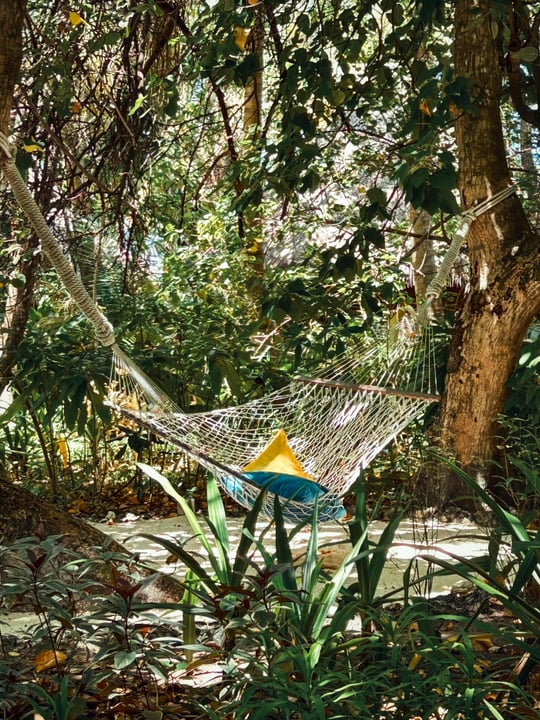 Photo by Mercure Maldives Kooddoo in Mercure Maldives Kooddoo Resort. May be an image of hammock, bamboo and text.