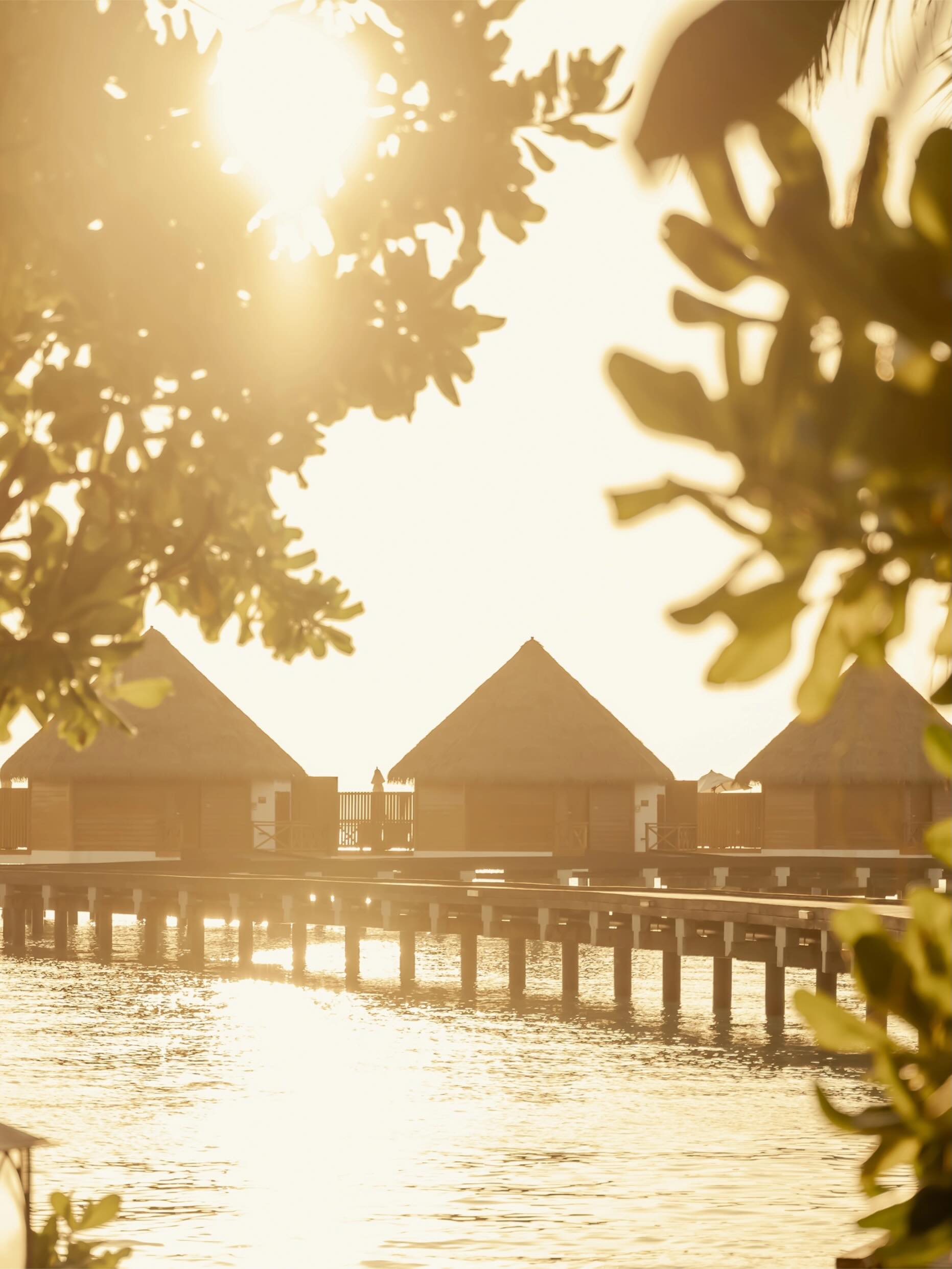 Photo by Mercure Maldives Kooddoo on June 13, 2026. May be an image of twilight, cabana and text.