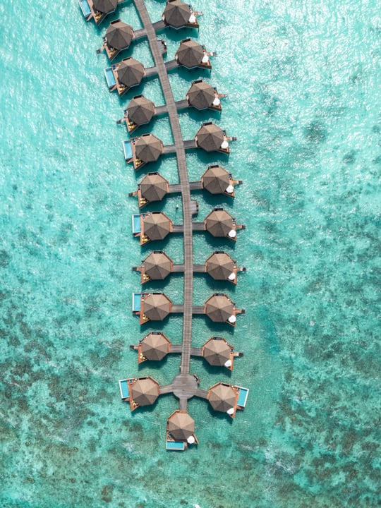 Photo by Mercure Maldives Kooddoo in Mercure Maldives Kooddoo Resort. May be an image of swimming, water and text.