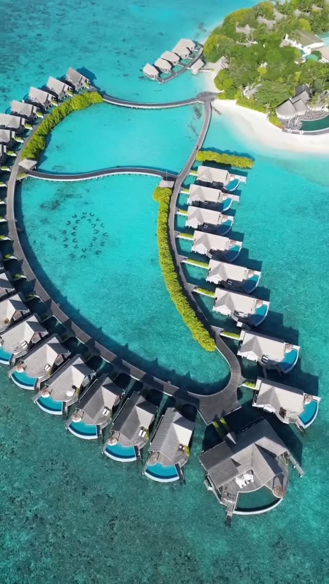 Suspended over shades of blue, mornings start with the gentle sound of the ocean and just below, our reef waits to be discovered. Our Overwa