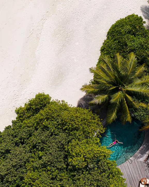 Photo by Milaidhoo Maldives on June 01, 2026. May be an image of chaise longue, pool, palm trees and text.