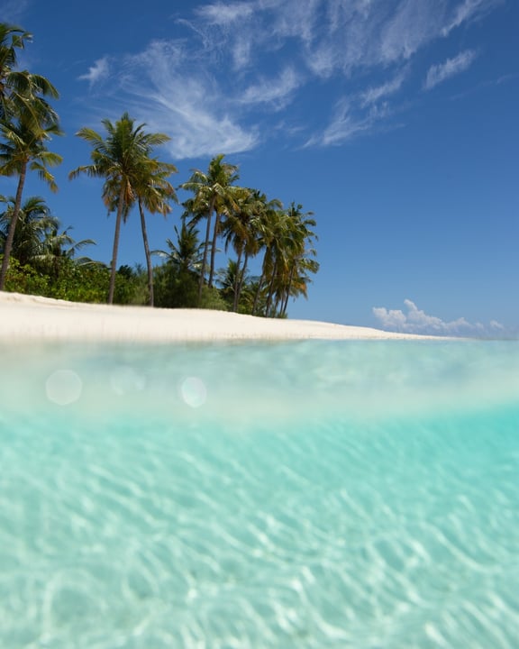 Pour certains membres de notre famille insulaire, Milaidhoo est devenu un lieu où revenir année après année — une étendue de sable familière, une table préférée, un récif maison qu'ils connaissent par cœur.

Une île intime et paisible