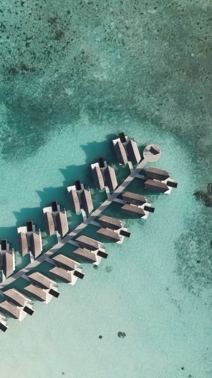 Que feriez-vous d’une journée pareille ?
Une baignade matinale, un déjeuner tranquille, un peu d’exploration—ou simplement une heure de plus au bord de l’océan. À Kuredhivaru, dans l’atoll de Noonu aux Maldives, il y a de la place pour suiv