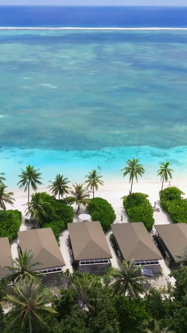 La vie en front de mer 💙

La Mabin Beach Pool Villa combine un espace extérieur, une piscine privée et un accès facile au lagon.

#Maldives #VisitMaldives #BeachVilla #Resort #JawakaraMaldives