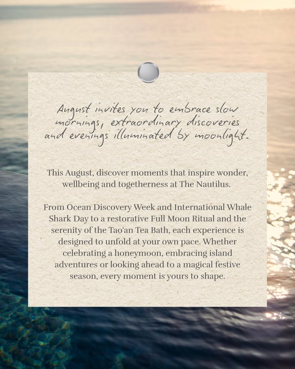 Photo by The Nautilus Maldives on July 25, 2026. May be a graphic of poster, magazine and text that says "August invites you to embrace slow marnings, discoveries and everings illumminated extraordina