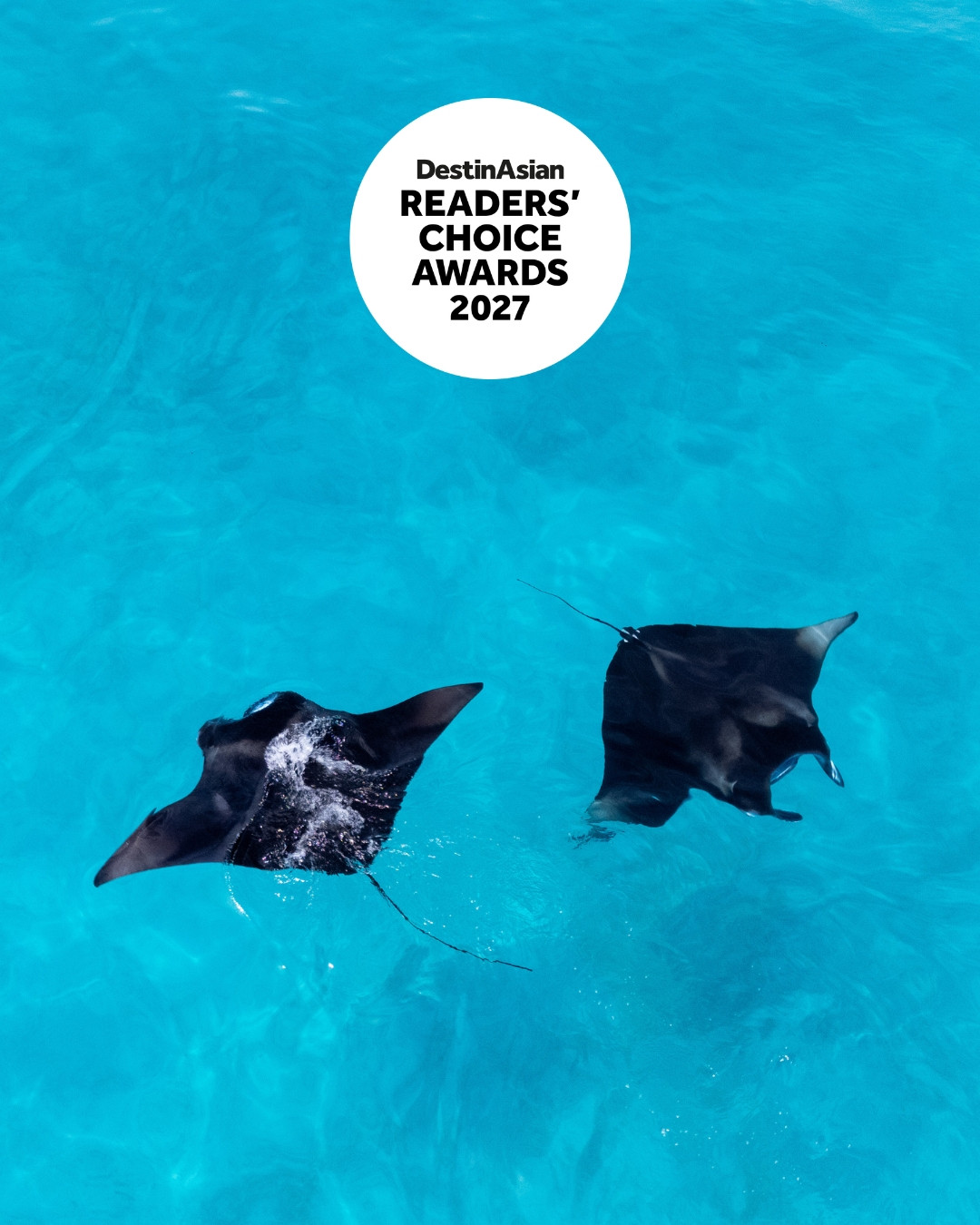 Foto di The Nautilus Maldives del 10 settembre 2026. Potrebbe essere un'immagine di nuoto e testo che dice "DestinAsian Asian READERS' CHOICE AWARDS 2027".