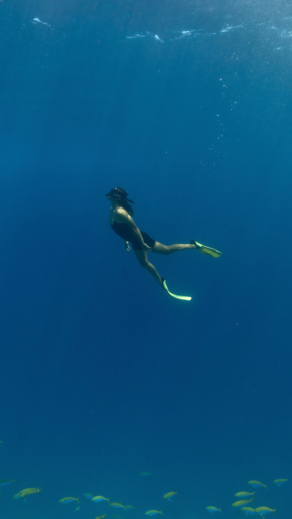 Some destinations are beautiful. Niyama is a feeling beyond words. ✨

Where endless shades of blue meet untouched shores, and every corner of Nature’s Playground reveals something truly extraordinary.