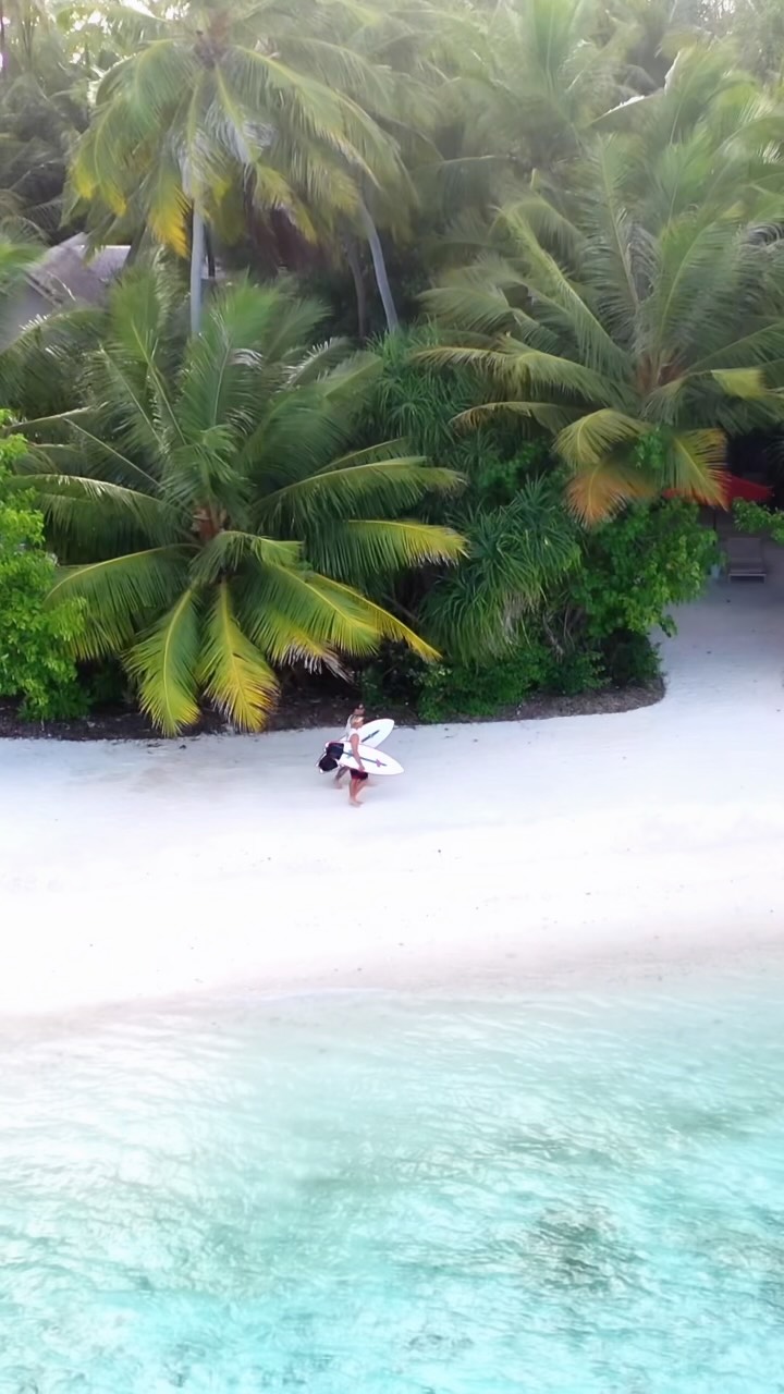 Percorri le Maldive con stile 🌊

Ecco la nostra nuova collezione di tavole da surf Mayhem, ora disponibili a noleggio a Niyama, create per lunghe linee, acqua calda e giornate senza sforzo su VODI e Kasabu.

Il tuo b