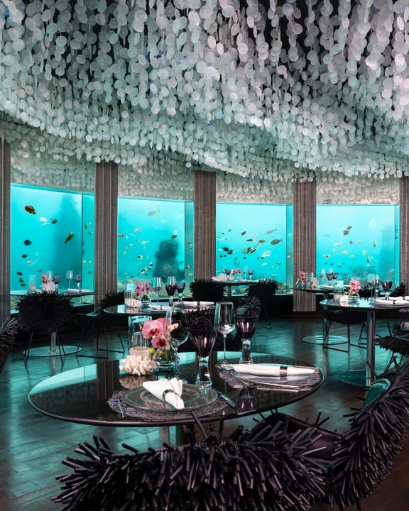Foto di Niyama Private Islands Maldives del 16 settembre 2026. Potrebbe raffigurare un lampadario e testo.