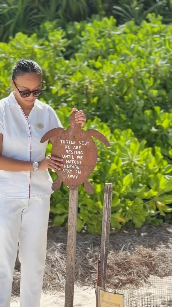 Meimei, our resident marine biologist, is here with an update on our final sea turtle nest of the season 🐢🌊 

#niyamamaldives #thisisniyama