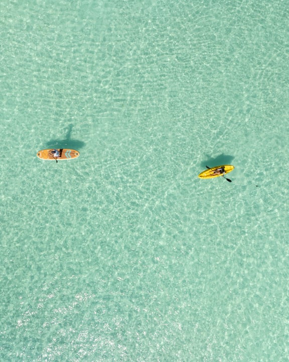Photo by Noku Maldives, Vignette Collection, an IHG Hotel in Noku Maldives, Vignette Collection. May be an image of dragonfly, bee, ladybird, helicopter, kite and text.