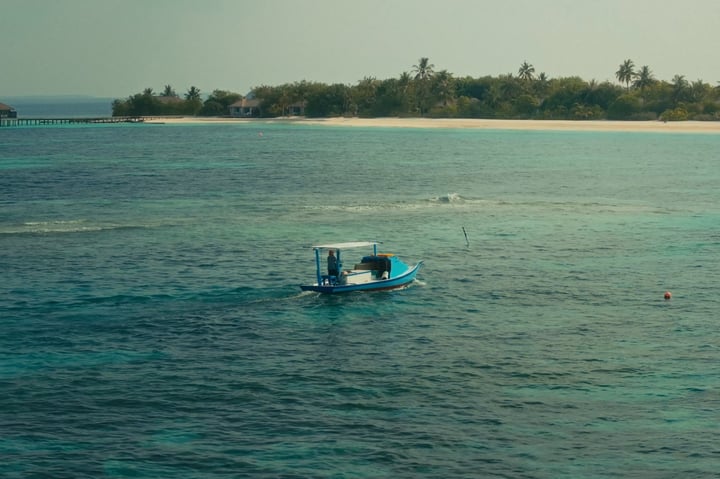 What the ocean gives is meant to be shared. Every Wednesday, the island comes together at the jetty to welcome our fisherman as he returns with the day’s fresh catch straight from the sea. Guests are 