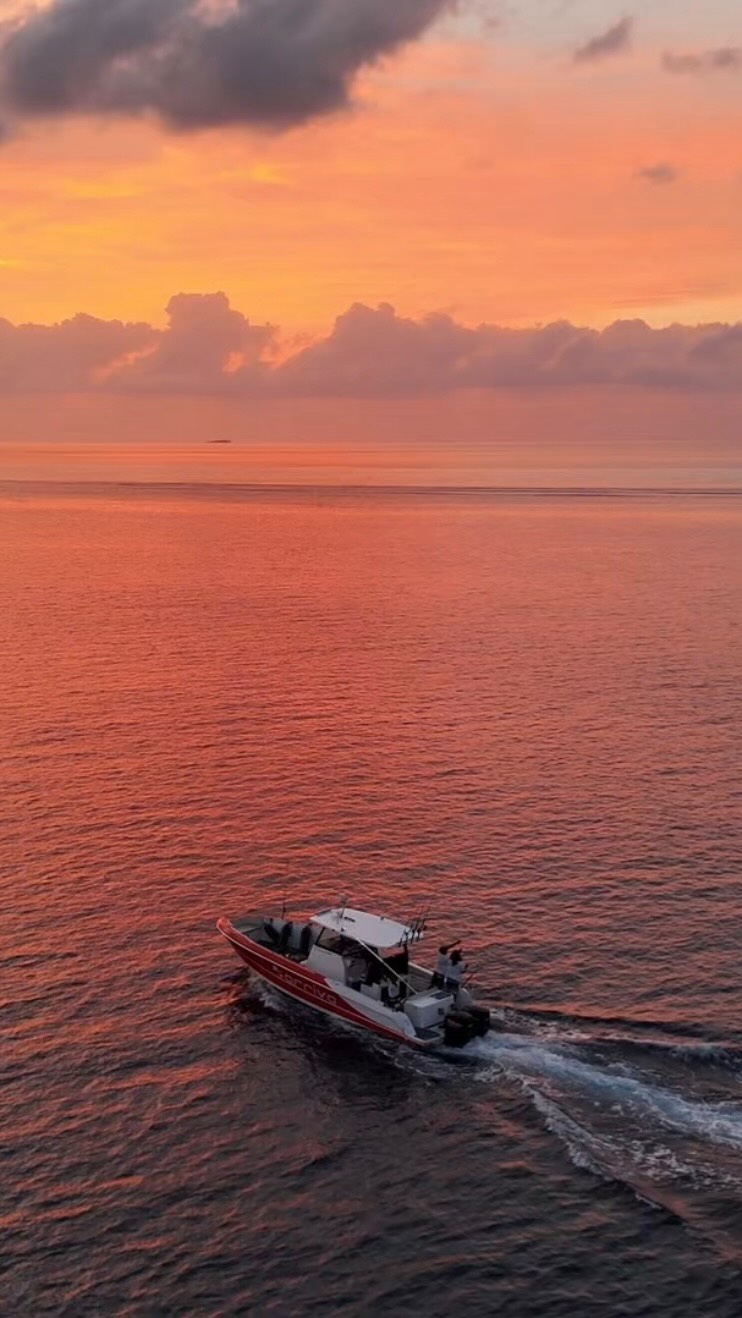 Auf der Jagd nach Giganten im Indischen Ocean! 🎣
Die Malediven bieten einige der besten Big-Game-Fishing-Reviere der Welt, mit beeindruckenden Fangraten das ganze Jahr über. Bereit für ein unvergessliches Abenteuer mit Aquaquest!
