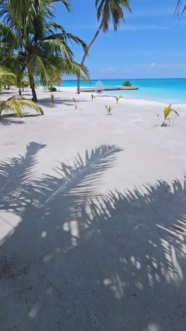 El paraíso no está tan lejos. @maldivasincreible

www.maldivasincreible.com

#maldivas #maldivasincreible #resort #playa #hotel
@nooemaldiveskunaavashi