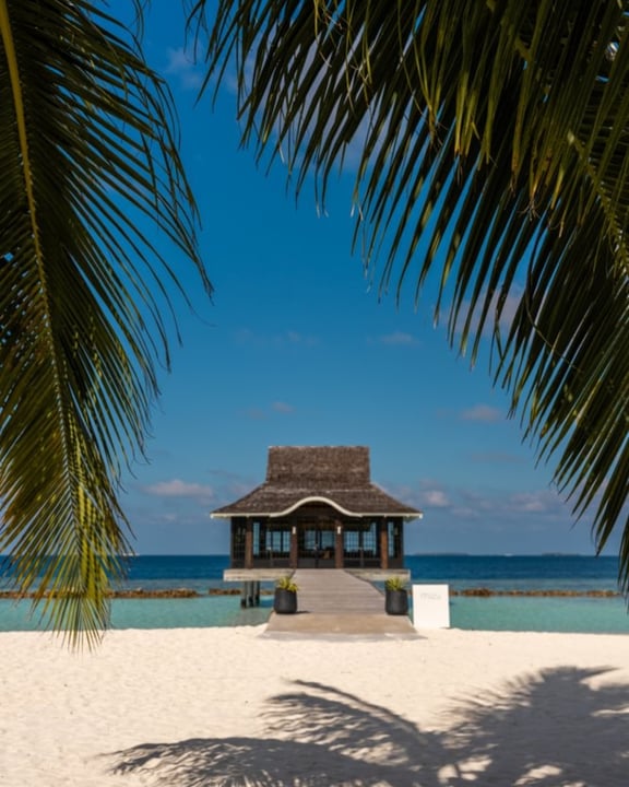 Photo by Nova Maldives on May 02, 2026. May be an image of beach, palm trees, cabana, water and text.