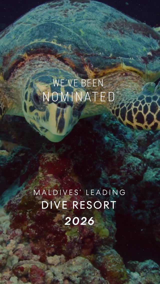 Home to one of the Maldives' most spectacular house reefs.⁠
⁠
We're honoured to be nominated for Maldives' Leading Dive Resort 2026 at the World Travel Awards.⁠
⁠
If the underwater world inspires you,