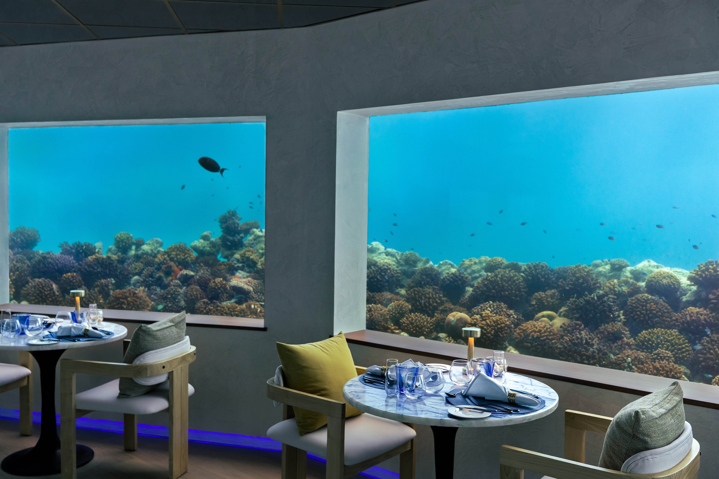 Only BLU restaurant