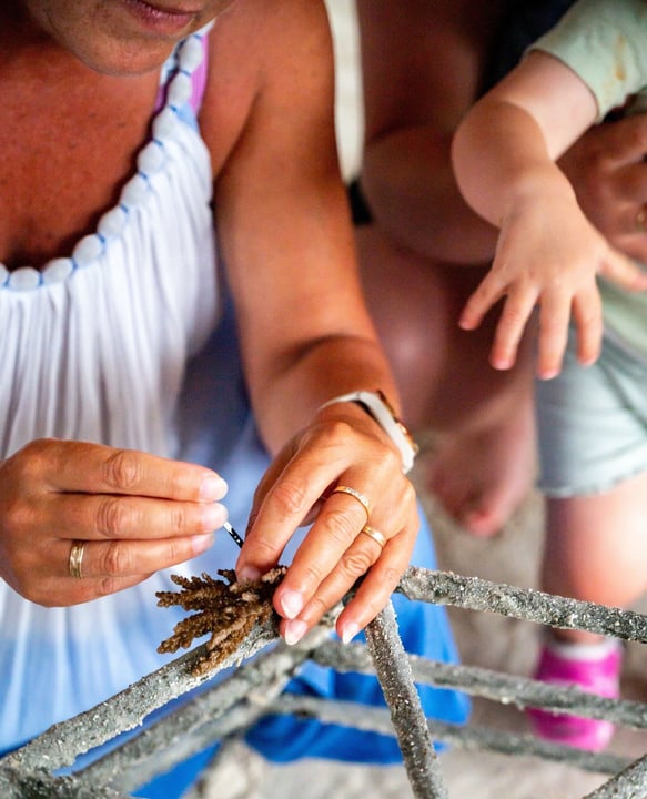 Photo by OBLU XPERIENCE Ailafushi on April 22, 2026. May be an image of child, sea urchin, crustacean and text.