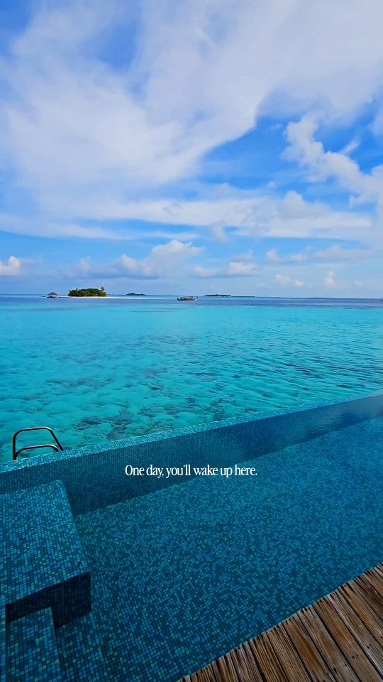 Non è un sogno. È un posto che esiste davvero 🤍
Salvalo per il tuo prossimo viaggio…
e invialo a chi porteresti con te!

📍Outrigger Maafushivaru
Maldive

It’s not a dream. It’s a real place 🤍
Save 