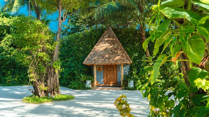 Foto von Outrigger Maldives Maafushivaru vom 27. August 2026. Könnte ein Bild von einem Baum und Text sein.