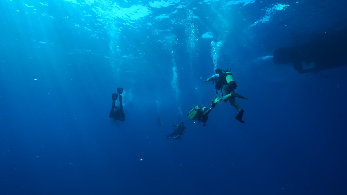 Et si le paradis cachait tout un autre monde sous la surface ?
À OUTRIGGER Maldives Maafushivaru Resort, certaines des expériences les plus mémorables se vivent sous l'eau.
Faites une plongée virtuelle avec l'OUTRIGG