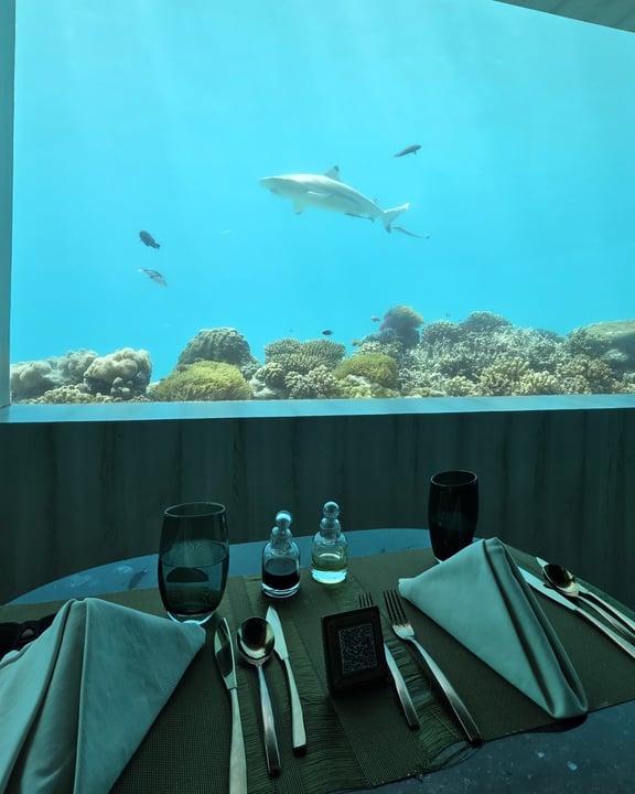 Foto von OZEN LIFE MAADHOO in OZEN LIFE Maadhoo mit @maadhoomaldives und @theresortscollection. Zu sehen sind möglicherweise Schwimmen, ein Hai, ein Aquarium und Text.