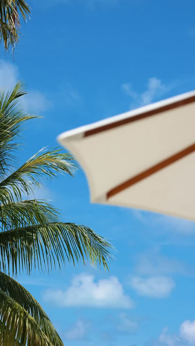 Un petit rappel de ce à quoi ressemble le luxe paisible dans l'espace piscine de Joie de Vivre. ⁠
⁠
#RefinedElegance⁠
#TheOzenCollection⁠
#OzenLifeMaadhoo⁠
