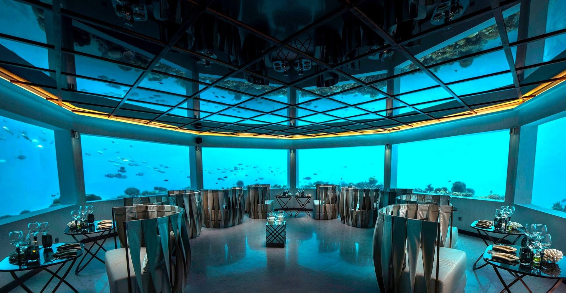 M6m — Minus Six Metres restaurant