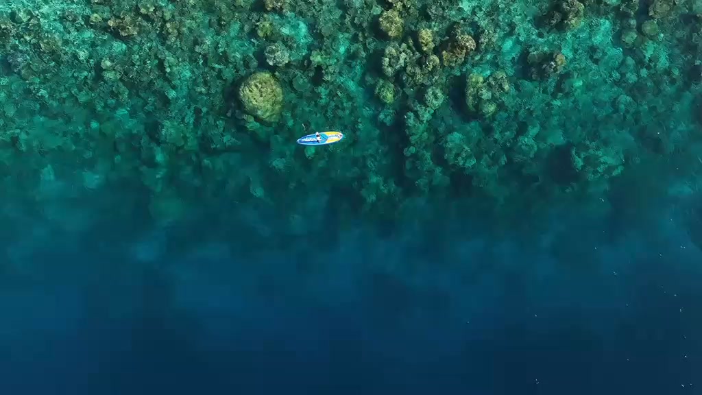 Glide across Hadahaa’s tranquil lagoon on a stand up paddle board, where every stroke carries you over shifting blues and coral shadows below. Encircled by a 360° house reef, you move at the ocean’s p