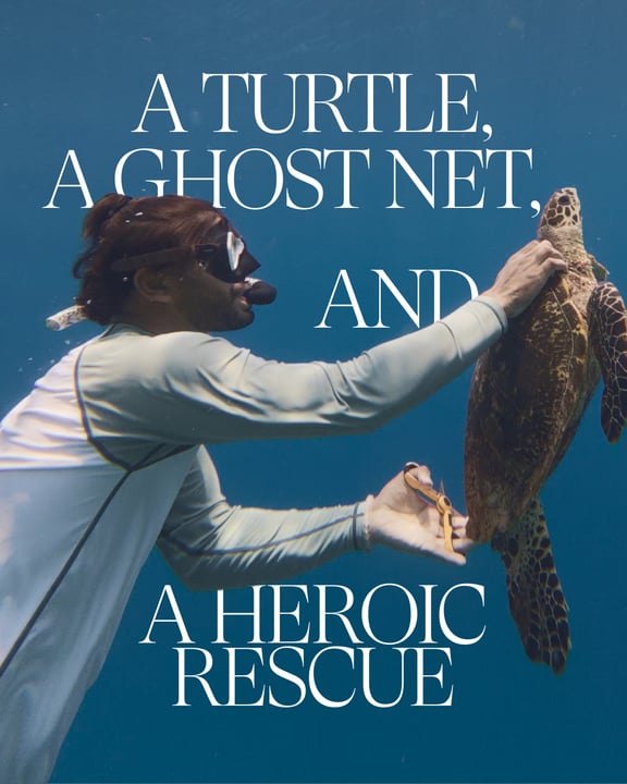 Foto von Patina Maldives vom 02. September 2026. Zeigt möglicherweise eine Schildkröte, ein Poster und Text mit der Aufschrift „A ATURTLE, A GHOST NET, AND A HEROIC RESCUE“.
