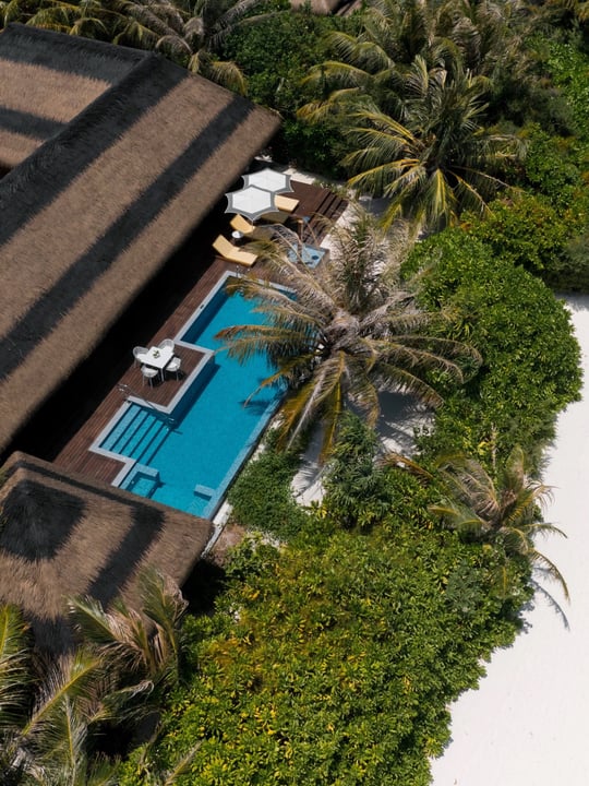 Foto von Pullman Maldives Maamutaa vom 12. Juli 2026. Könnte ein Bild von Liegestuhl, Pool, Palmen und Text sein.
