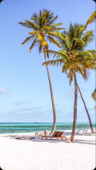 Un petit coin de paradis 🏝️ 

#paradise #islandlife🌴 #ocean #landscapephotography #palmtrees