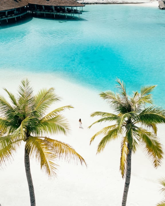 Photo by Radisson Blu Resort Maldives in Radisson Blu Resort Maldives with @radissonrewards, @radissonblu, and @radissonhotels. May be an image of body of water, beach, nature, palm trees and text.