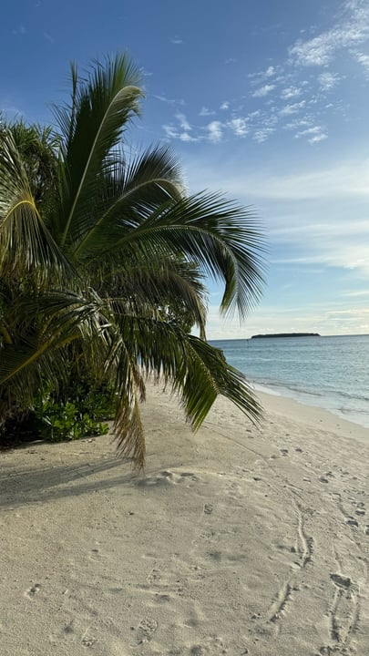 Es ist Freitag, 17 Uhr. Wo verbringen Sie Ihr Wochenende?

Die Ankunft im @radissonbluresortmaldives per Wasserflugzeug war ein völlig surreales Erlebnis. Dieses Hotel hat einfach alles und sollte definitiv auf Ihrer