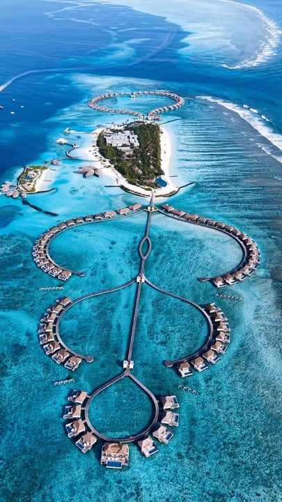 Wo Luxus auf die sanften Riesen des Ozeans trifft. Willkommen im Radisson Blu Maldives.

@radissonbluresortmaldives 
@radissonblu 

#maldives #maldivestrip #radissonbluhotel
