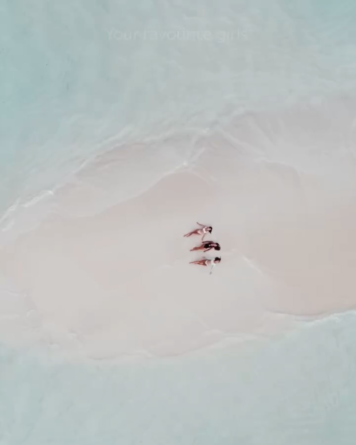 Le ragazze hanno confermato. Il viaggio è ufficialmente confermato. 🌴

Un'isola privata, una villa da condividere, e un programma che prevede più o meno immersioni di giorno, pomeriggi in piscina e vestirsi eleganti per c