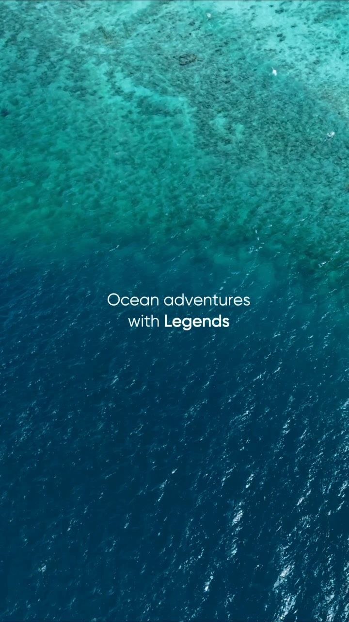 The World On One Breath! 🌍

Join us in the extraordinary Baa Atoll in the Maldives this September - explore Hanifaru Bay where manta rays dance, find your own depth through expert coaching or introdu