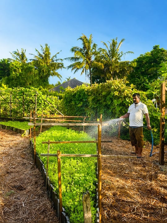 Foto von The Residence Maldives at Dhigurah vom 14. Juli 2026. Könnte ein Bild von Gras und Text sein.